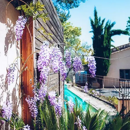 Boutique Le Mas De L'olivier Hotel
